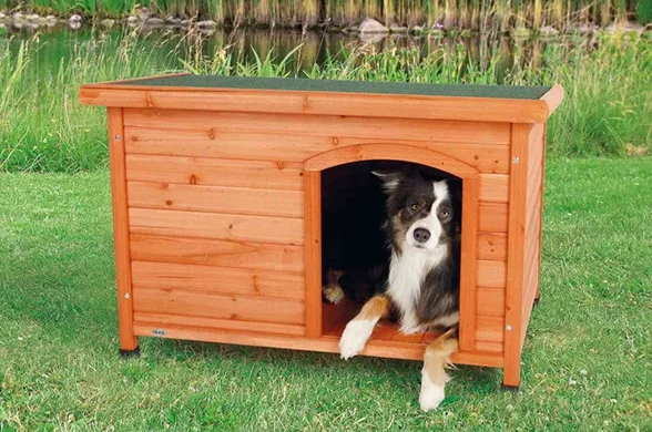 Будка «Глаухауз»